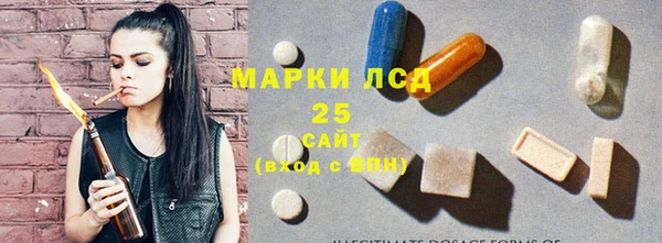 гашик Богородицк
