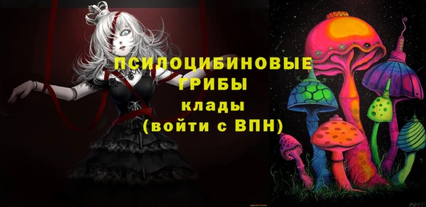 МДПВ Богданович