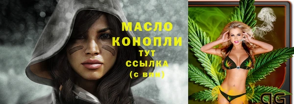 гашик Богородицк