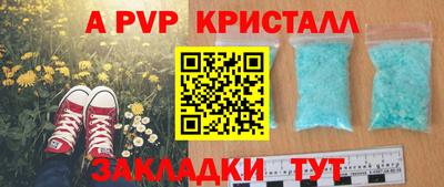 мяу мяу мука Аргун