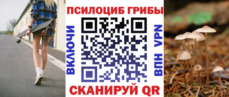 Псилоцибиновые грибы Psilocybe  Борисоглебск 