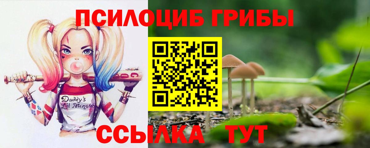 Борисоглебск  Галлюциногенные грибы Psilocybe  Вход с VPN  Галлюциногенные грибы мицелий 