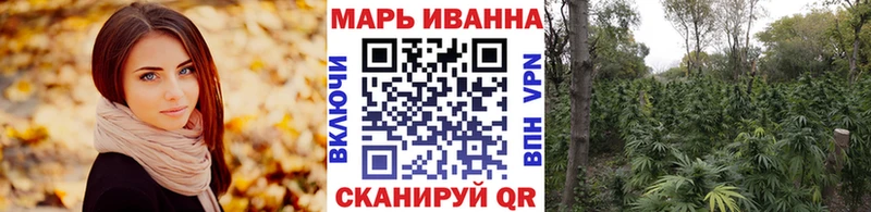 дарнет шоп гидра как зайти площадка телеграм Борисоглебск Конопля индика